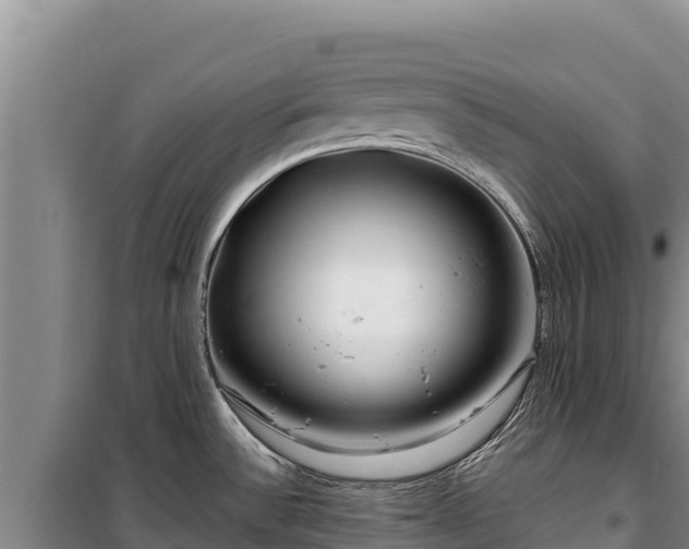 X0000100211532200806061334