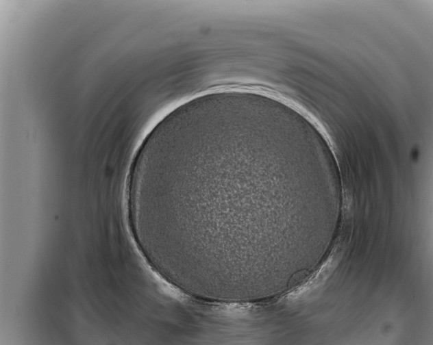 X0000100211533200806061334