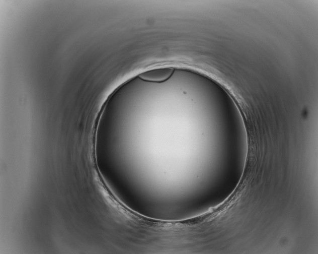 X0000100211534200806061334