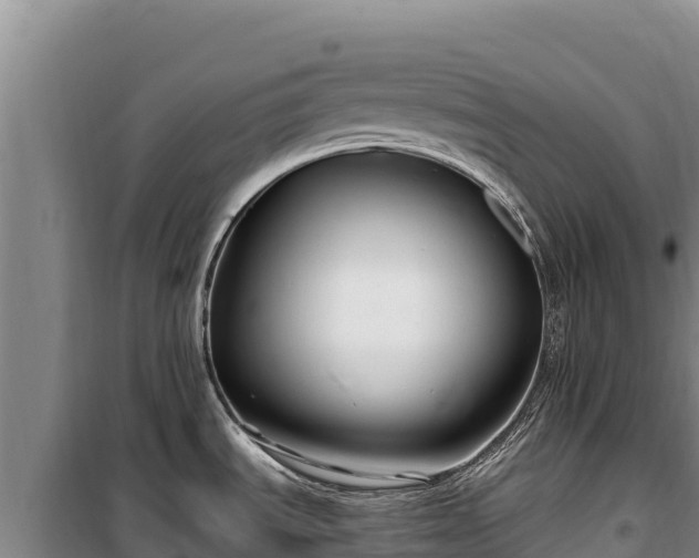 X0000100211535200806061334