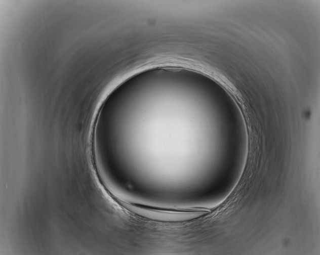 X0000100211536200806061334