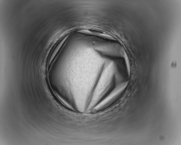 X0000100210002200806131302