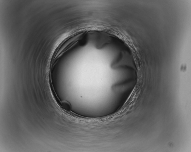 X0000100210003200806131302