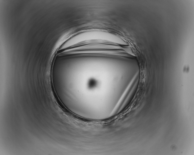 X0000100210004200806131302