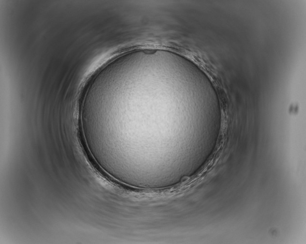 X0000100210005200806131302