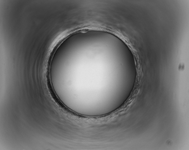 X0000100210007200806131302