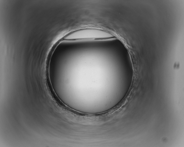 X0000100210008200806131302