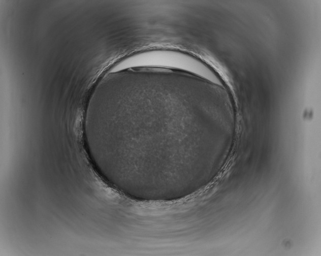 X0000100210009200806131302