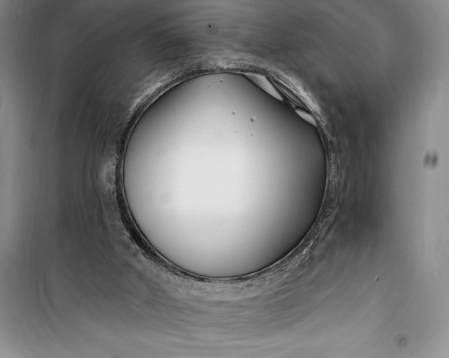 X0000100210010200806131302