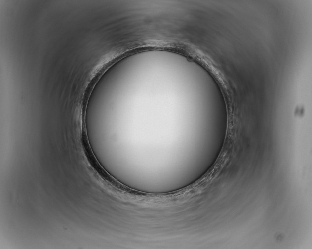 X0000100210011200806131302