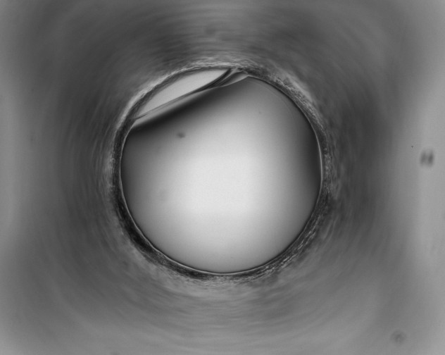 X0000100210012200806131302