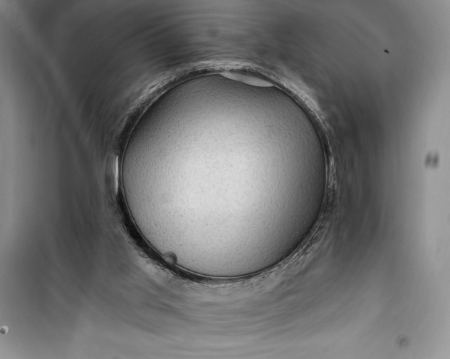 X0000100210013200806131302