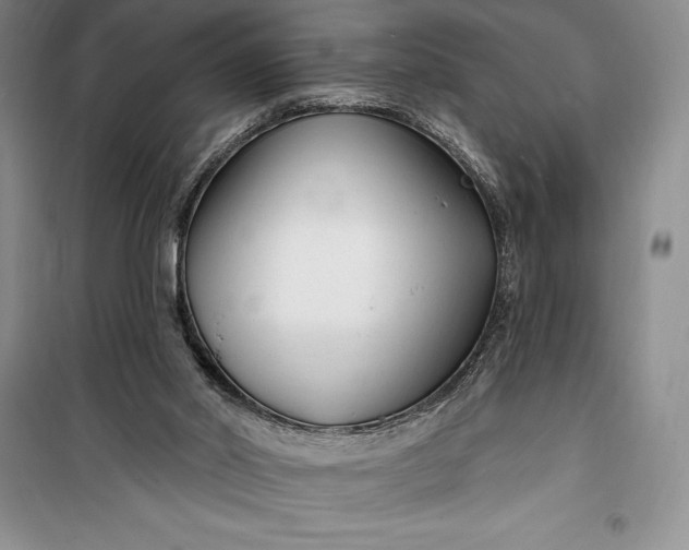 X0000100210014200806131302