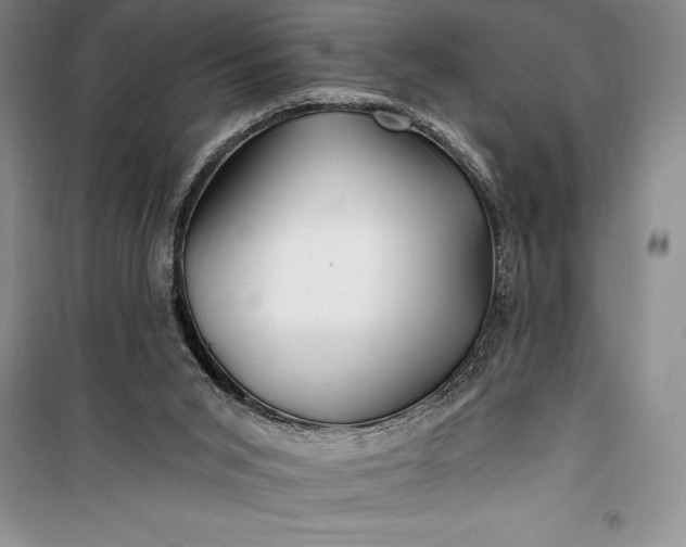 X0000100210015200806131302