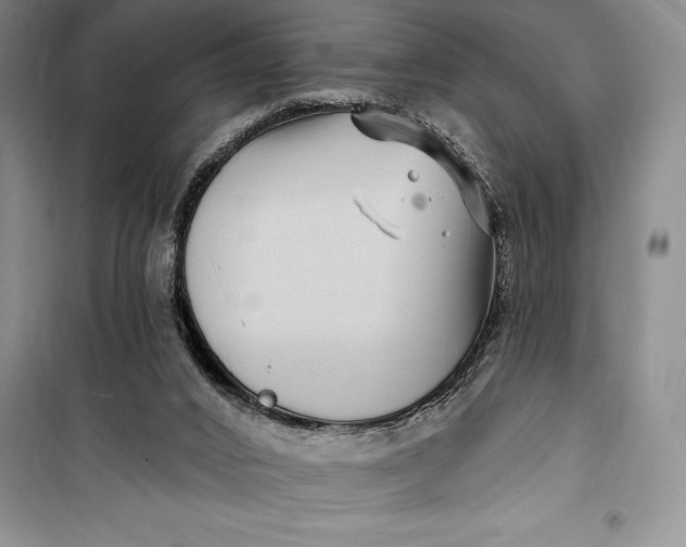 X0000100210016200806131302