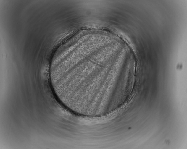 X0000100210017200806131302