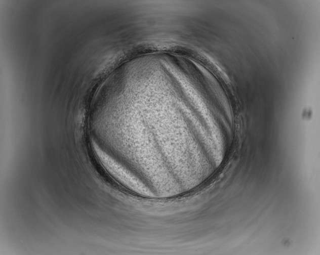 X0000100210018200806131302