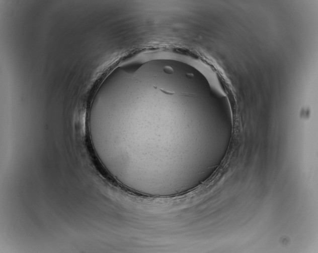 X0000100210019200806131302