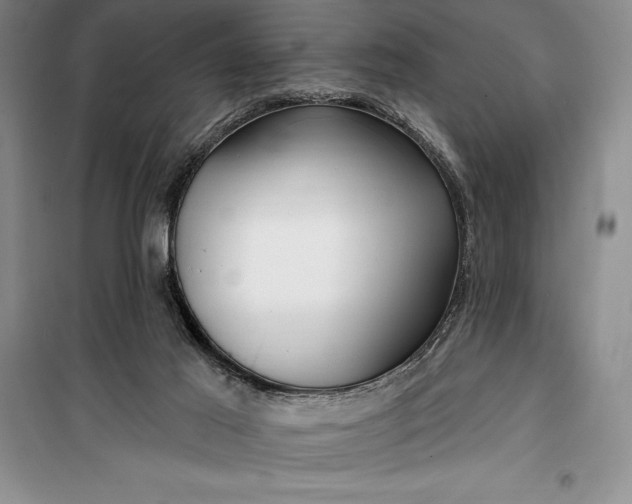 X0000100210021200806131302