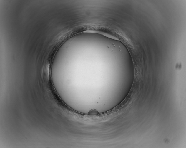 X0000100210022200806131302