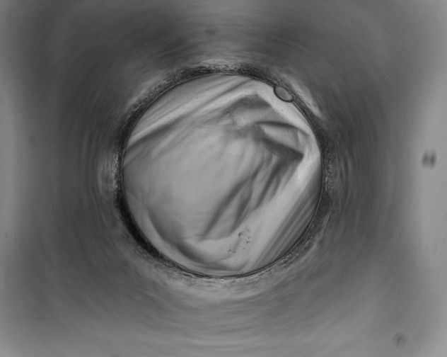 X0000100210023200806131302