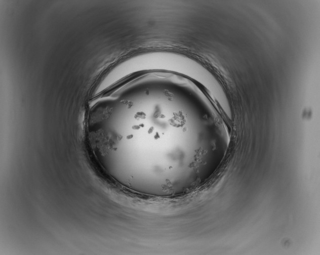 X0000100210024200806131302