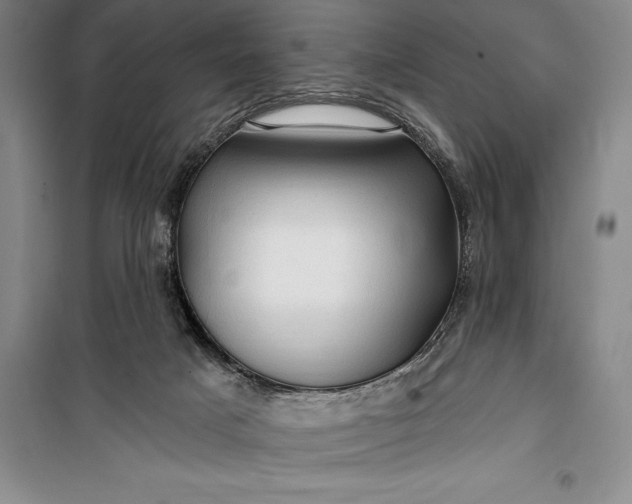 X0000100210025200806131302