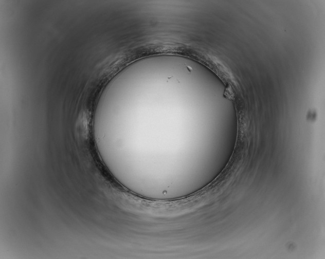 X0000100210026200806131302