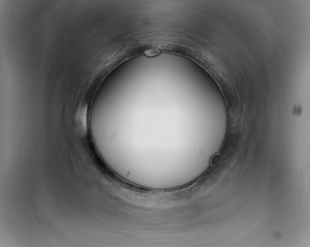 X0000100210028200806131302