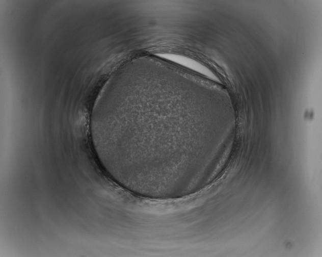 X0000100210029200806131302