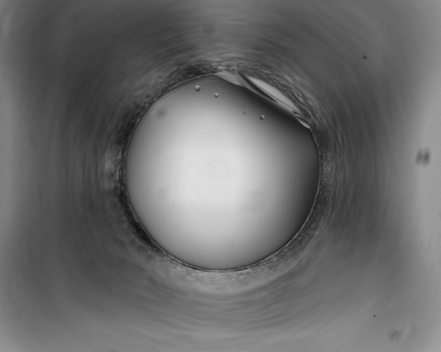 X0000100210030200806131302