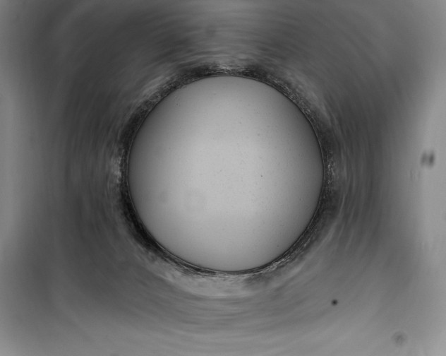 X0000100210032200806131302