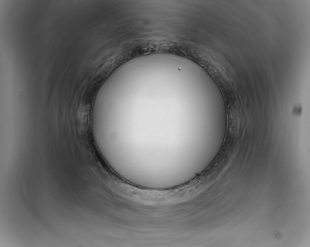 X0000100210034200806131302