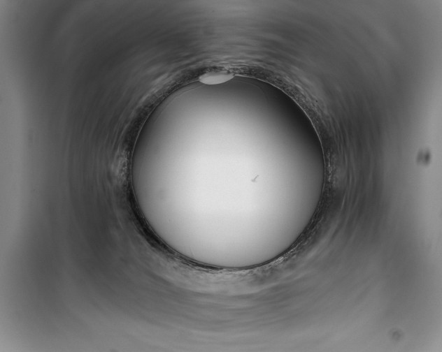 X0000100210036200806131302