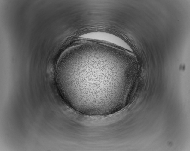 X0000100210037200806131302