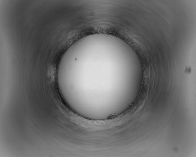 X0000100210038200806131302