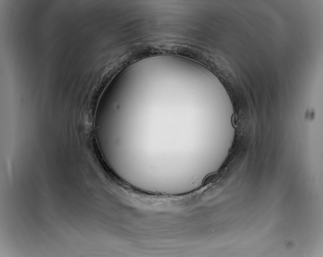 X0000100210040200806131302