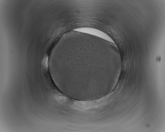 X0000100210041200806131302