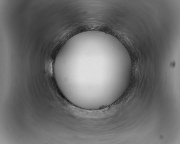 X0000100210042200806131302