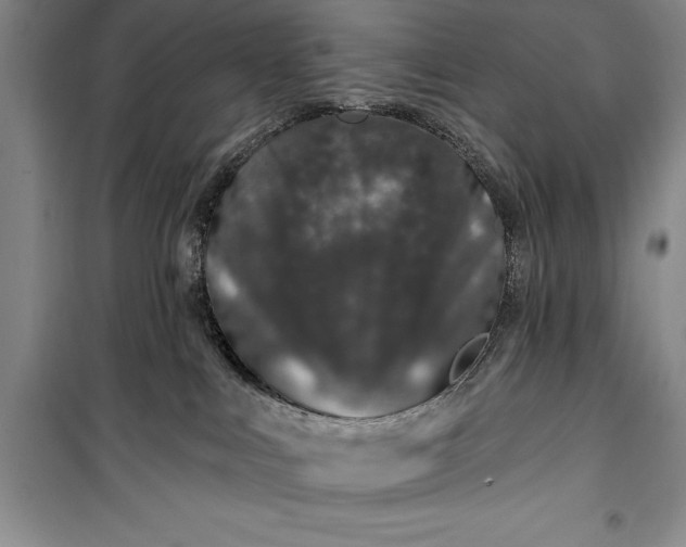 X0000100210043200806131302