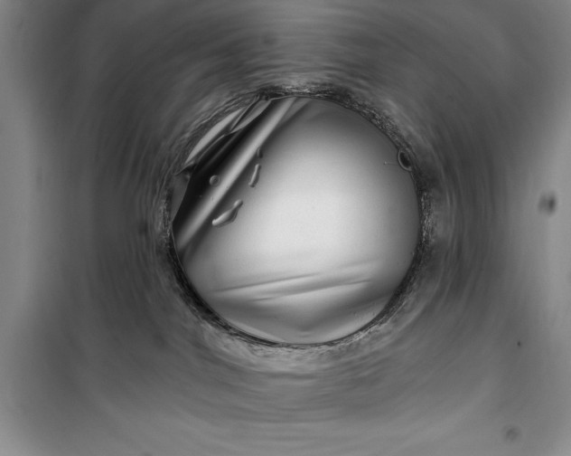 X0000100210044200806131302