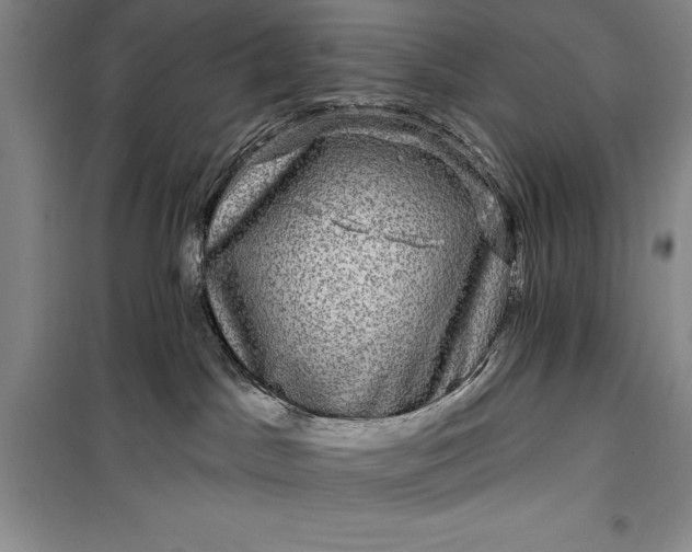 X0000100210045200806131302