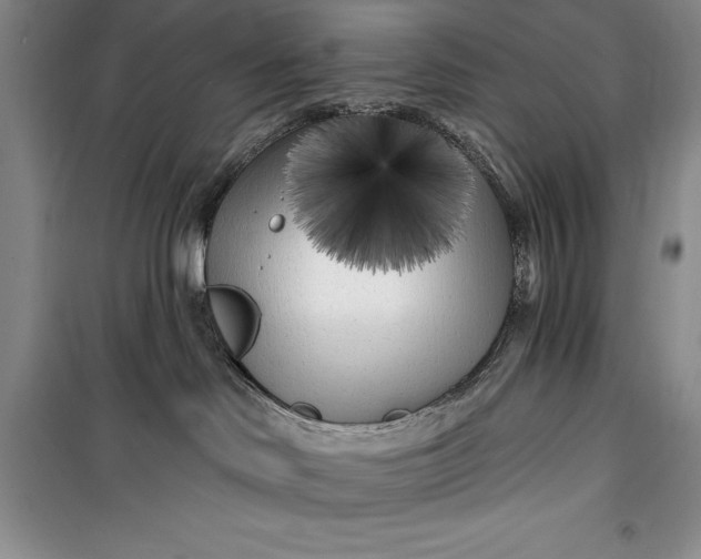 X0000100210046200806131302