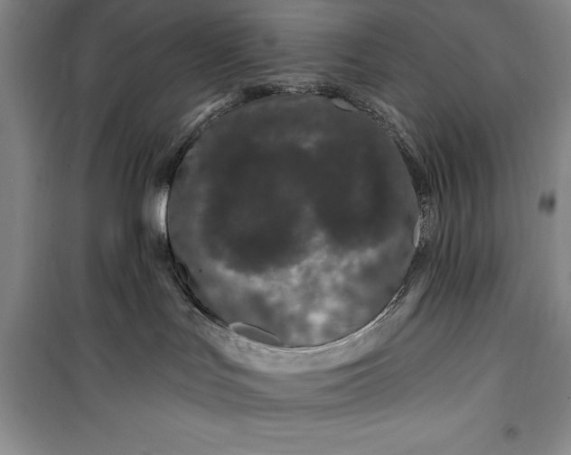 X0000100210047200806131302