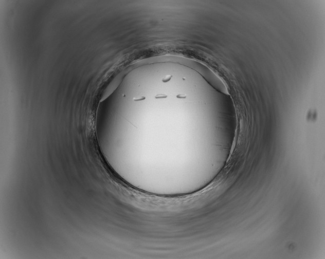 X0000100210048200806131302