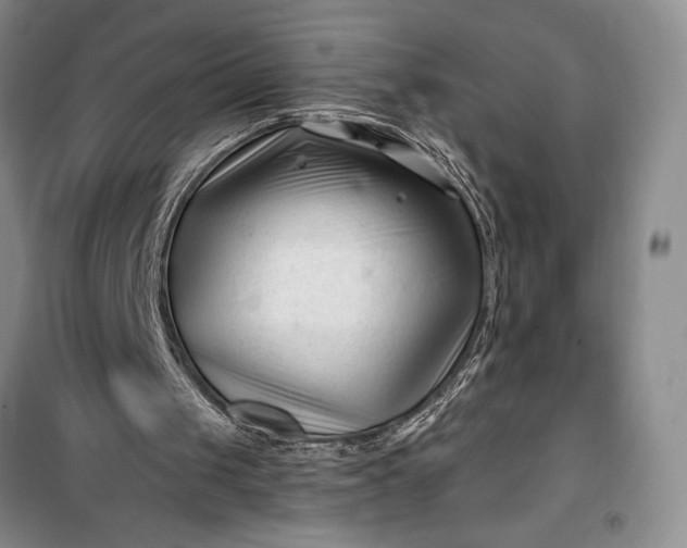 X0000100210049200806131301