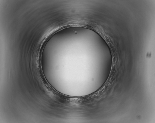 X0000100210050200806131301