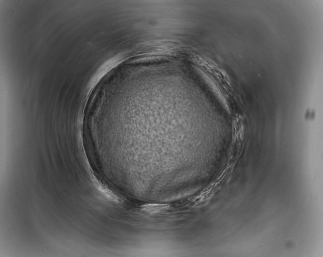 X0000100210051200806131301