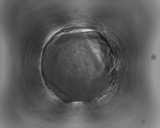 X0000100210052200806131301