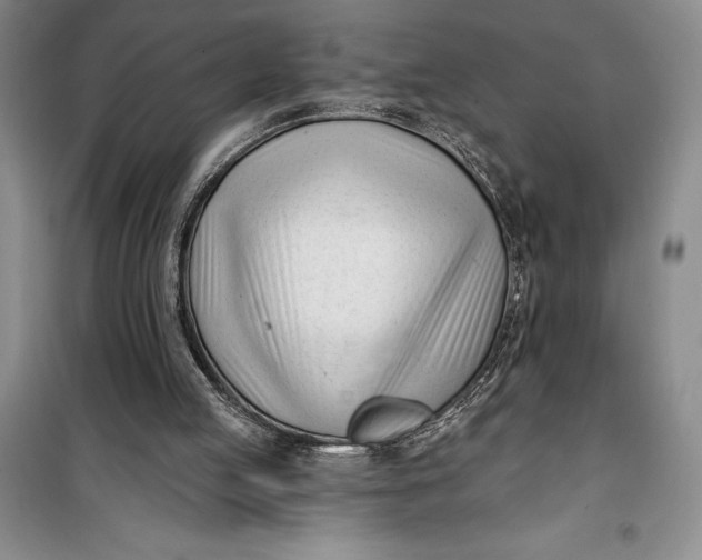 X0000100210053200806131301